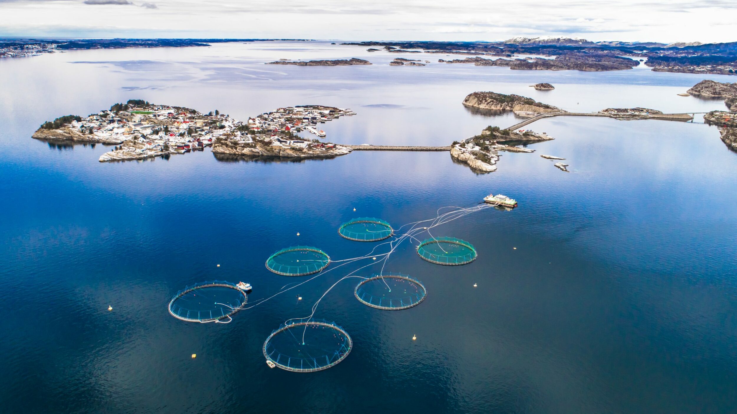 otaq aquaculture